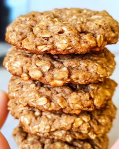 Healthy Oatmeal Protein Cookies